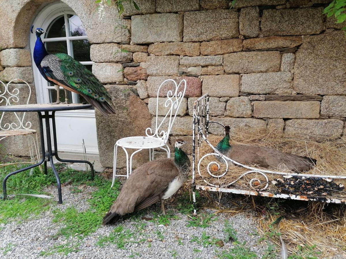 Bed and Breakfast Frairie Du Divit Pontivy Zewnętrze zdjęcie